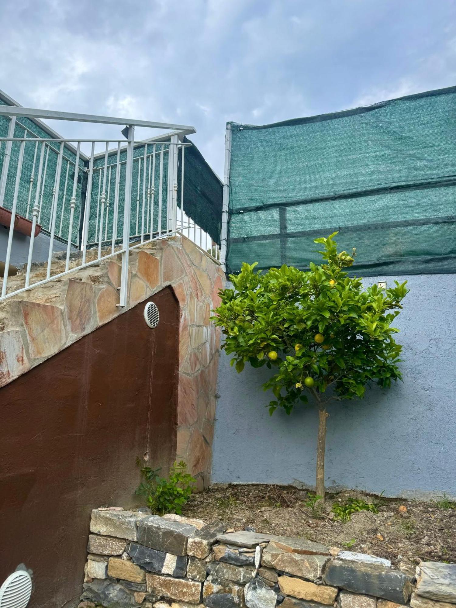 ヴィッラノーヴァ・ダルベンガ Ligo Bed & Breakfast エクステリア 写真